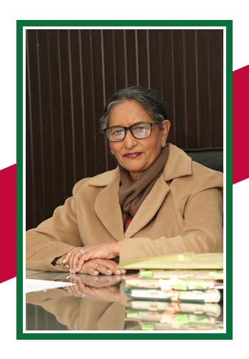 indo british school director